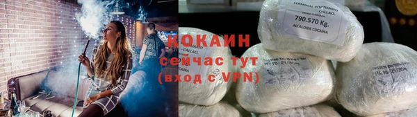 метадон Богданович