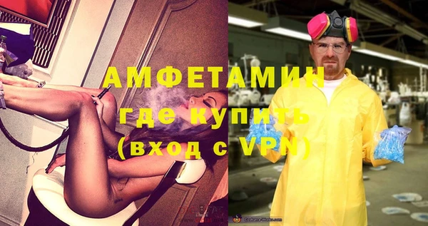 метадон Богданович